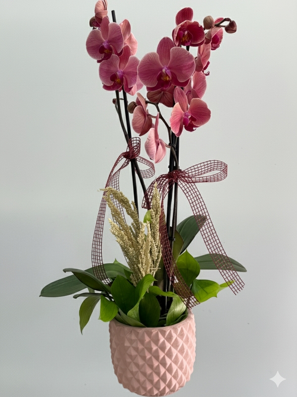 Ateş Kırmızısı 2 Dallı Orkide 