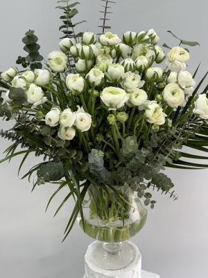 Vazoda 50 Beyaz Erengül