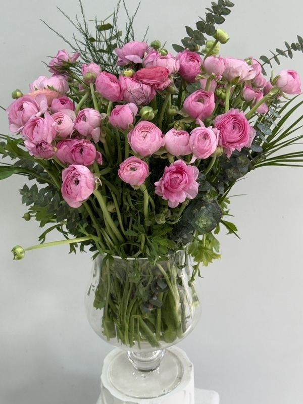 Vazoda 50 Pembe Erengül