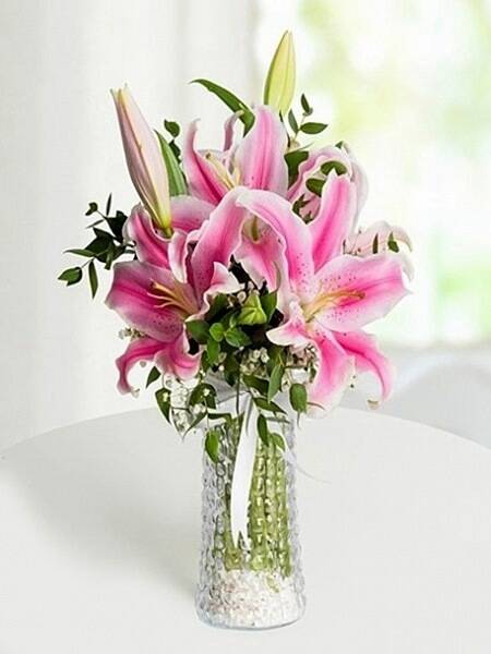 Vazoda Pembe Lilyum - 1